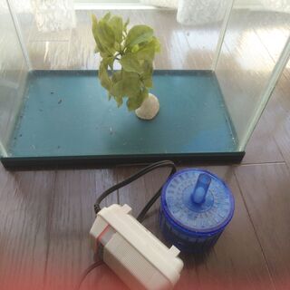 水槽　虫篭大　小