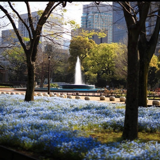 日比谷公園で一緒に散歩しませんか?(  日中1~2時間くらいを想定してます) − 東京都