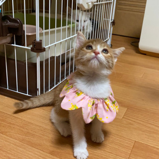 めっちゃくちゃ可愛い兄妹
