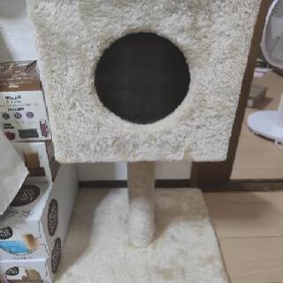 猫タワー