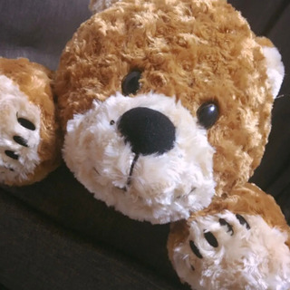 非売品❗️レア💚新品💕ふわっふわのスージーズー寝そべりぬいぐるみ💕の画像