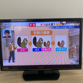 （取引確定）【SHARP】24インチ液晶テレビ