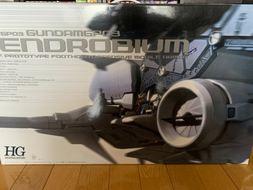 デンドロビウム【~11/8まで延期】