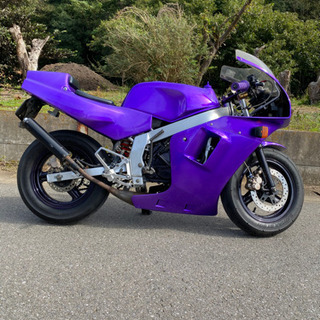 NSR50 の画像