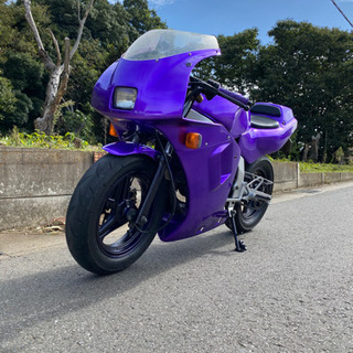 NSR50 の画像