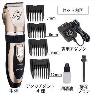 撮影モデルワンちゃん募集♪の画像