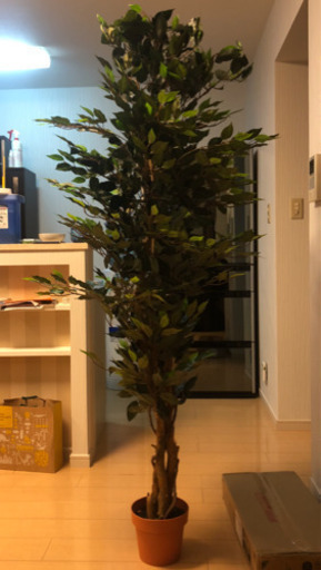 フェイクグリーン♪大型♪170cmくらい♪造花♪