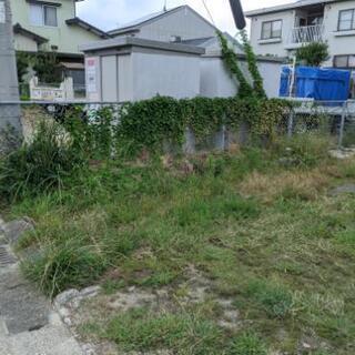敷地内の草や木にお困りではありませんか？？