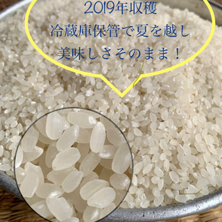 【決まりました】古米　キヌヒカリ　2019年産　お安くご提供致します