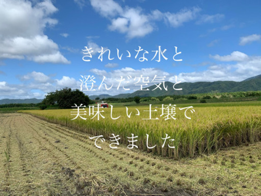 【決まりました】古米　キヌヒカリ100% お安くご提供！