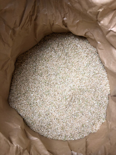 お米　令和1年度　山口県産コシヒカリ　玄米30Kg