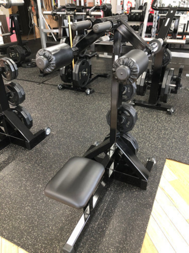 鍛錬マッスルライン　フライマシン