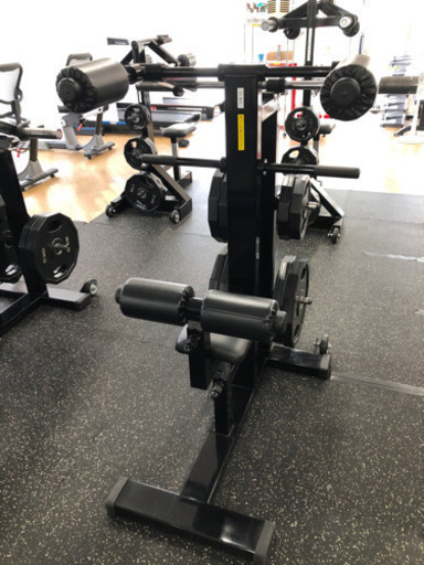 鍛錬マッスルライン　ラットプルマシン