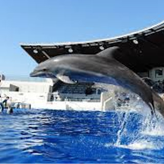 10/31（土）秋の恋活イベント－水族館でデート気分－（男性満席）
