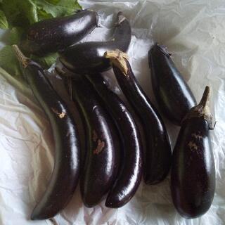 雨の日お野菜４点。の画像