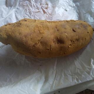 雨の日お野菜４点。の画像