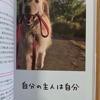 人生はワンチャンス! 「仕事」も「遊び」も楽しくなる65の方法の画像