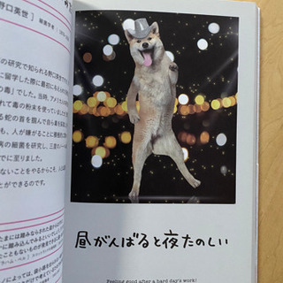 人生はワンチャンス! 「仕事」も「遊び」も楽しくなる65の方法の画像