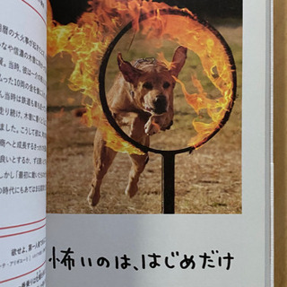 人生はワンチャンス! 「仕事」も「遊び」も楽しくなる65の方法の画像