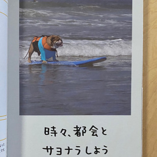 人生はワンチャンス! 「仕事」も「遊び」も楽しくなる65の方法の画像