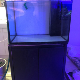 60CMオーバーフロー水槽