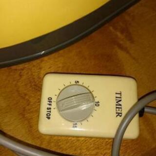 金魚運動　ゆらゆら　スイングマシーンの画像