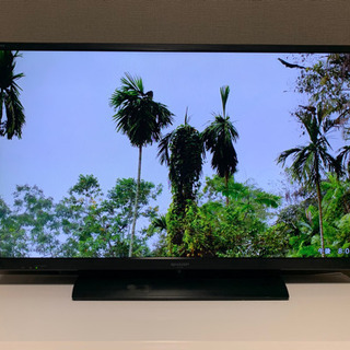 相談中　2015年製　シャープ　AQUOS  液晶テレビ　40型