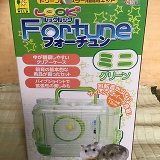 中古　ドワーフハムスター用　飼育キット　