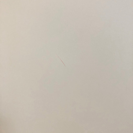 お引き取り先決まりました