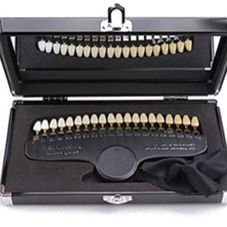 【未使用】ホワイトニング　シェードガイド　歯模型　収納ケース付き