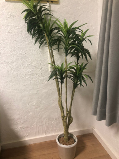 ニトリ　フェイク観葉植物！鉢付き