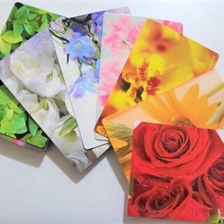 【オンラインで資格取得】花で心を整える。カウンセリング心理学をベースにした花を使ったセラピーの画像