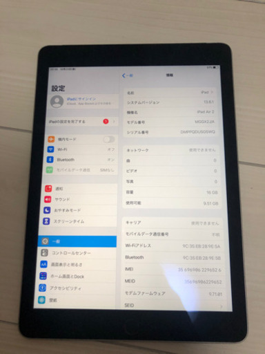 iPad Air2 セルラータイプ　#256