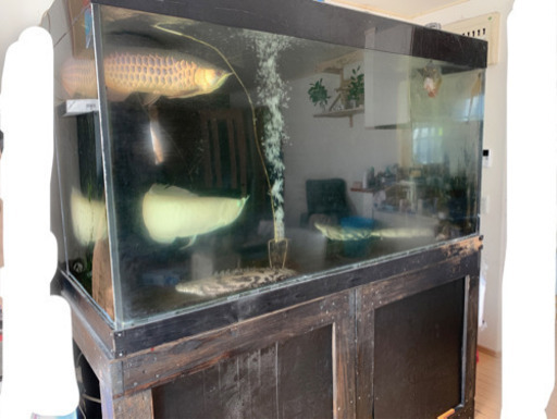 オーバーフロー大型アクリル水槽セット