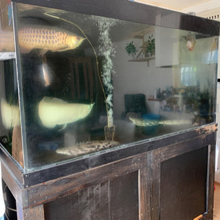 アクリル水槽セット　オーバーフロー オーバーフローの150センチ水槽セット