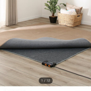 ニトリホットカーペットの画像