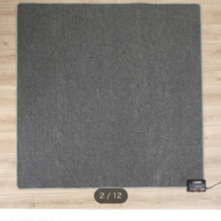 ニトリホットカーペットの画像