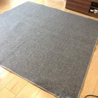 ニトリホットカーペットの画像