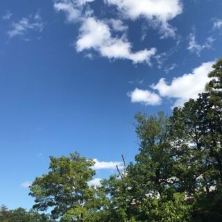 テニスの王子様好きな方お話しましょう！(友達募集)の画像