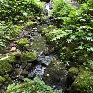 コロナ対策･インフル対策していますか？🦠