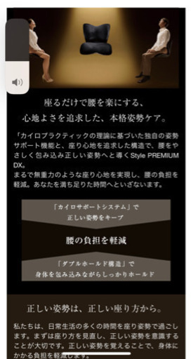 Style PREMIUM DX 新品未使用