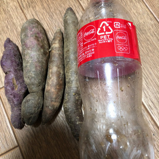 Ｂ品紫サツマイモ