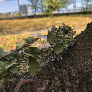 完売にて受注生産 グリーンベース花かんむり