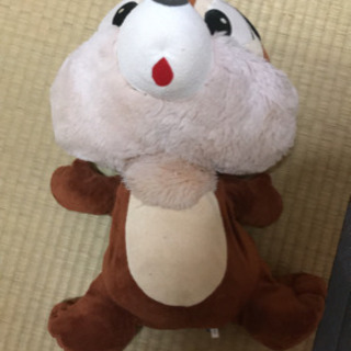 ぬいぐるみたくさんの画像