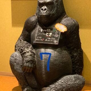 企業スタート相談など