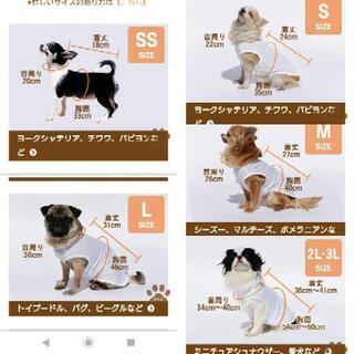 ❣️犬の服 新品 🍀格安 SSから犬種とサイズを言って頂ければ可能な限りお持ちします。の画像