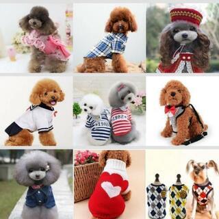 ❣️犬の服 新品 🍀格安 SSから犬種とサイズを言って頂ければ可能な限りお持ちします。の画像