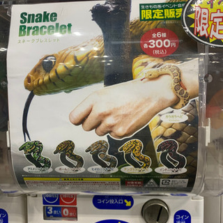 爬虫類ガチャ
