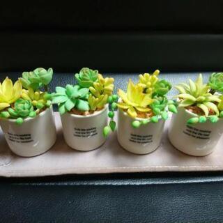 新しい趣味に★ - その他