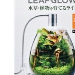 水草生育用ライトの画像